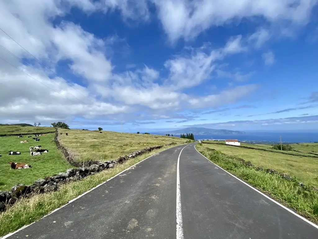 a road with grass and a blue sky