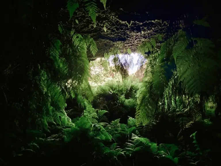 Furna de Frei Matias Cave