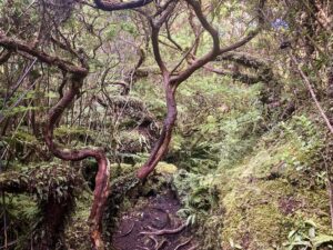 top hikes on terceira