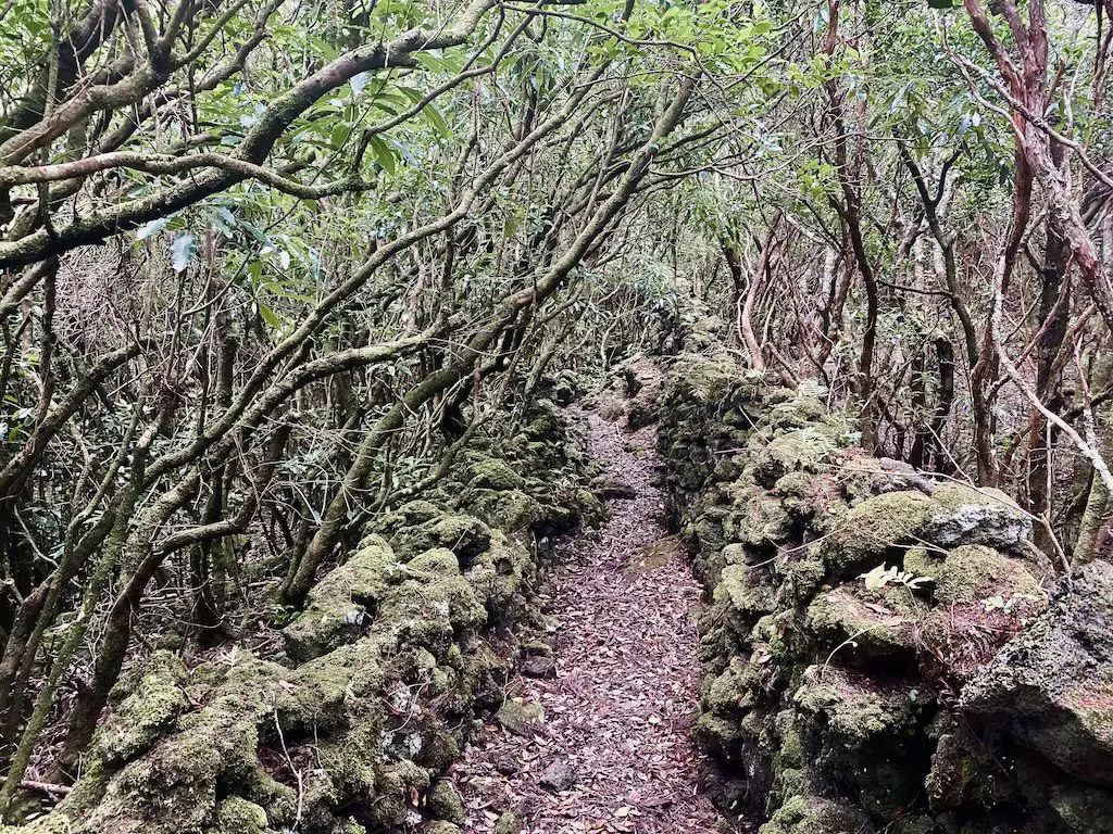 santa luzia circle trail