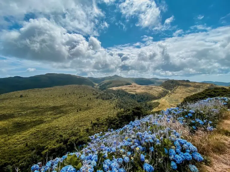 HIKING ROCHA DE CHAMBRE – A JUNGLE ESCAPE INTO TERCEIRA’S WILD SIDE